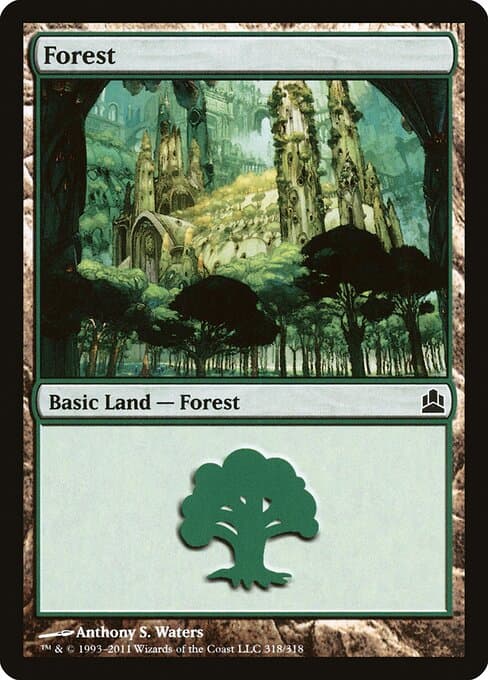 Forest