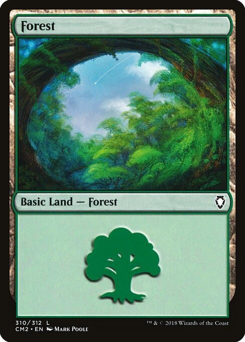 Forest