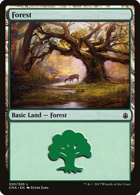 Forest