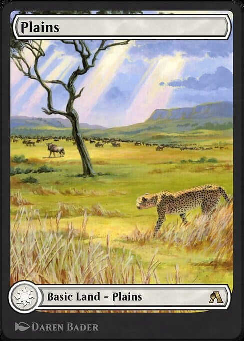 Plains