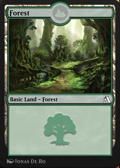 Forest