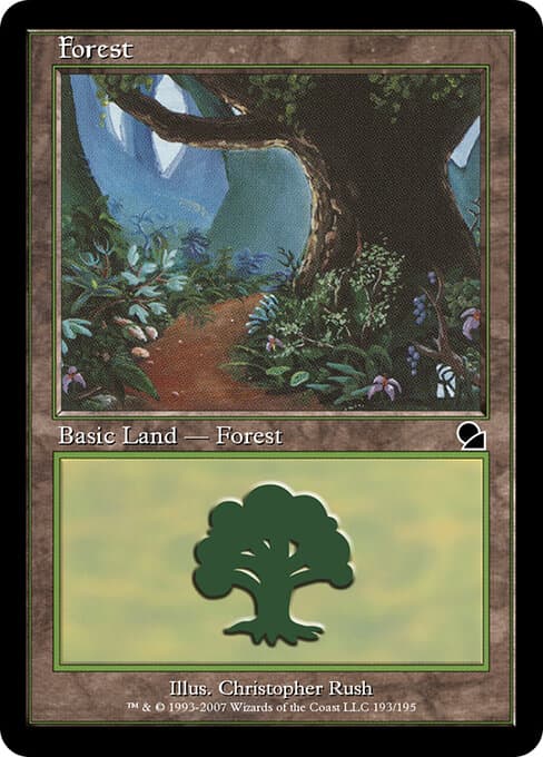 Forest