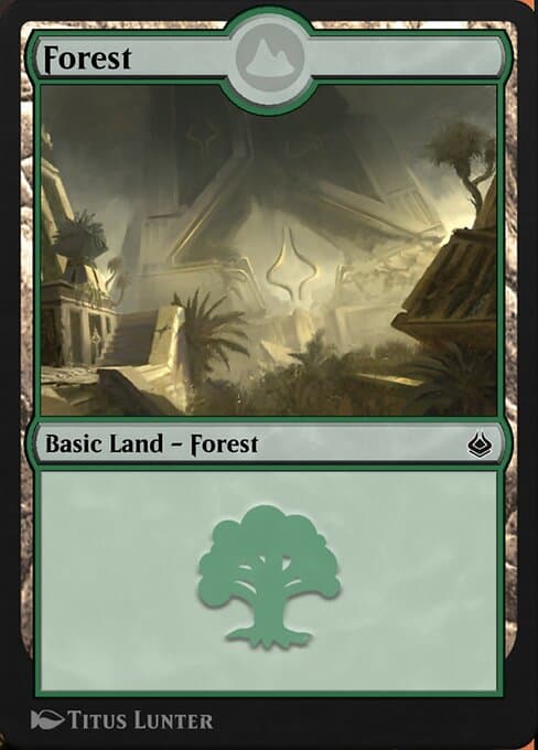 Forest