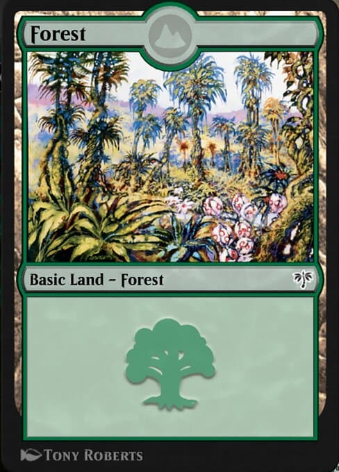 Forest