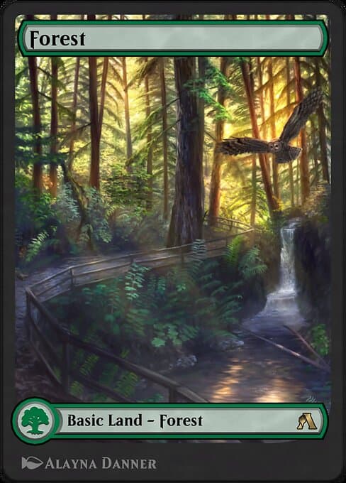 Forest