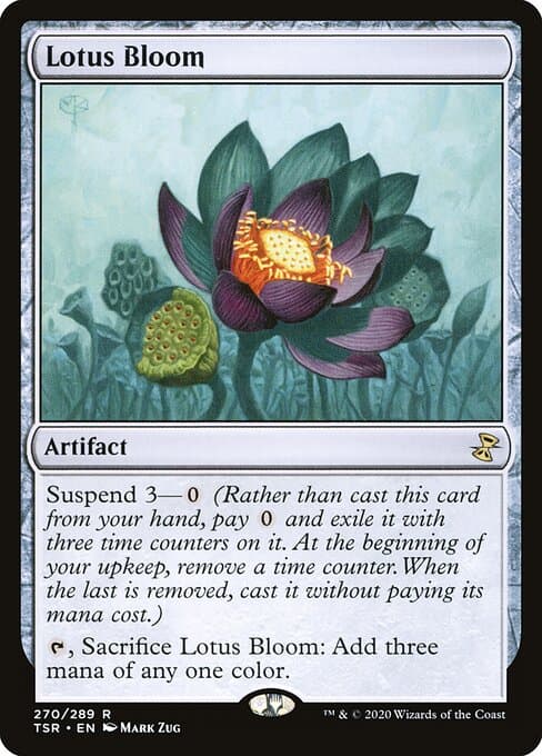 Lotus Bloom