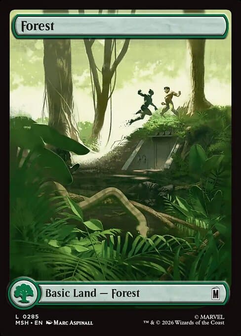 Forest