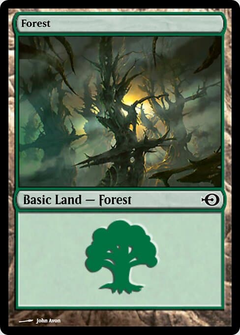 Forest